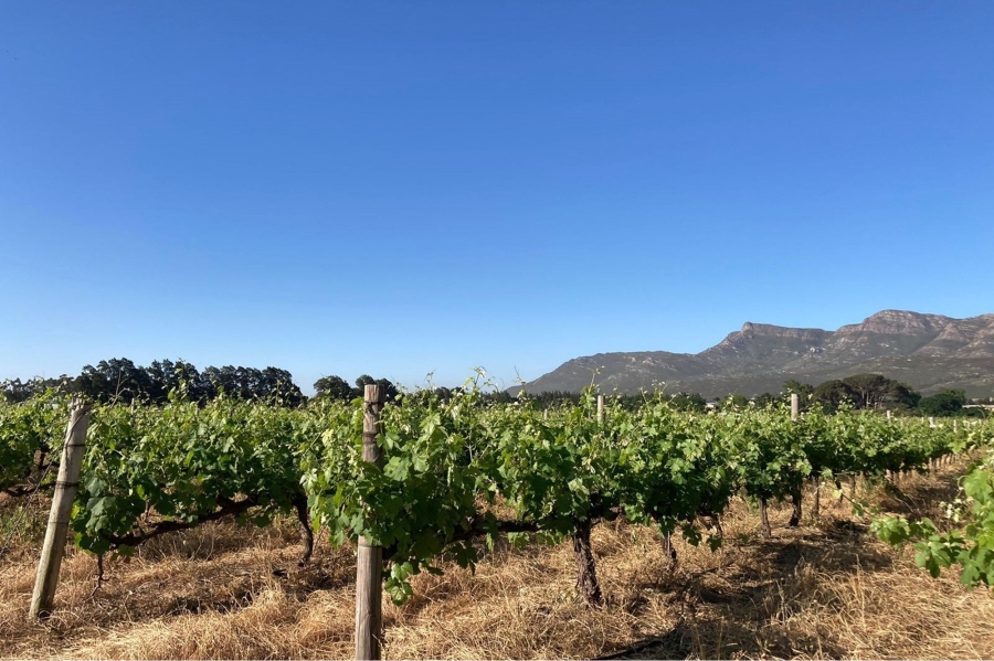 0 Bedroom Property for Sale in Paarl South Western Cape